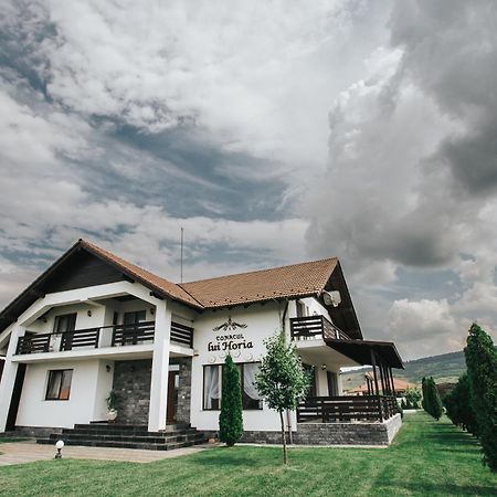 Pensiunea Conacul Lui Horia Bistriţa Exterior foto